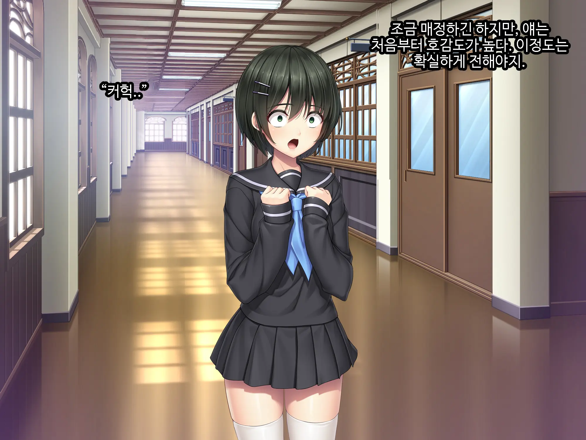 Galge No Heroine O Tasukeru Tame Ni. | 미연시 히로인을 돕기위하여